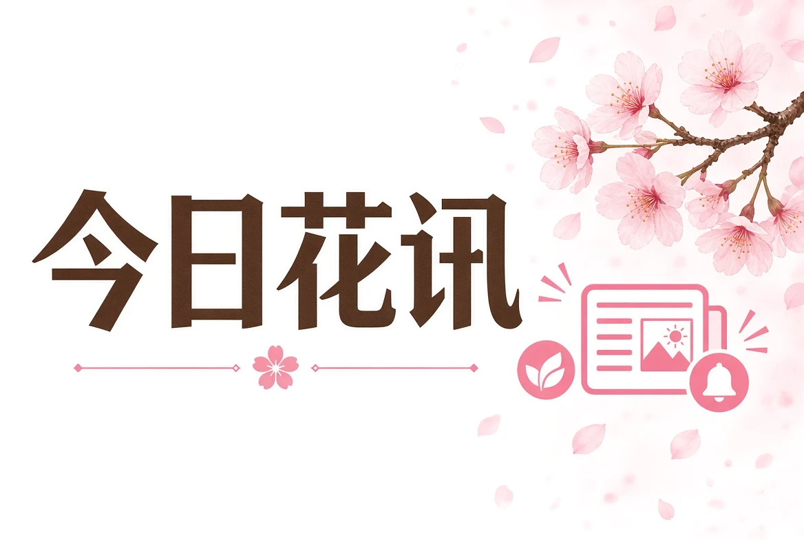 樱花视频讯页导览